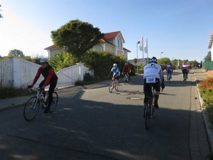 RTF Almabtrieb 120